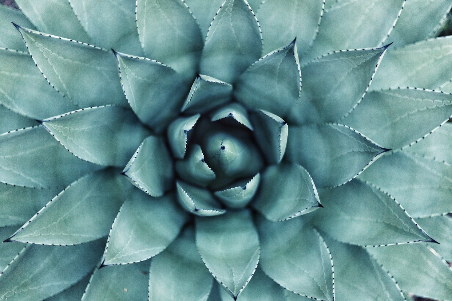 The Benefits of Acupuncture for Stress Relief