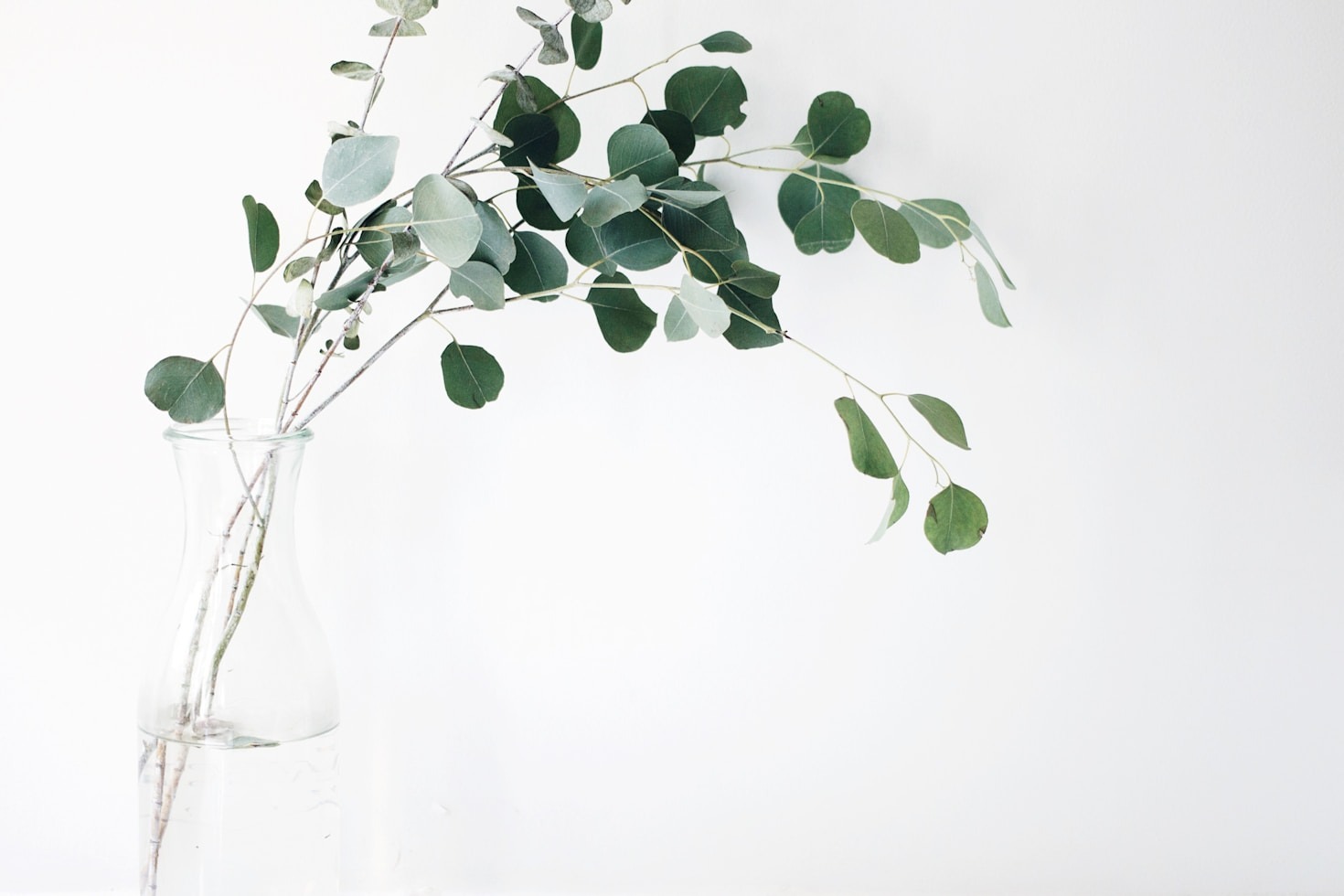 Embracing Wellness: A Guide to Acupuncture Treatments